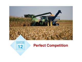 Perfect Competition