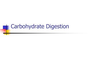 Carbohydrate Digestion