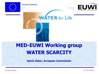 MED-EUWI Working group WATER SCARCITY Sylvie Detoc, European Commission
