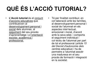 QUÈ ÉS L’ACCIÓ TUTORIAL?