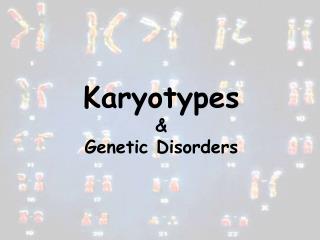 Karyotypes &amp; Genetic Disorders