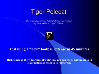 Tiger Polecat