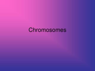 Chromosomes