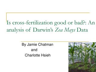 Is cross-fertilization good or bad?: An analysis of Darwin’s Zea Mays Data