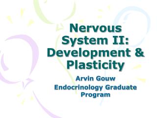 Nervous System II: Development &amp; Plasticity