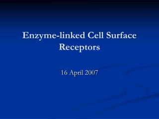 En z yme- linked Cell Surface Receptors