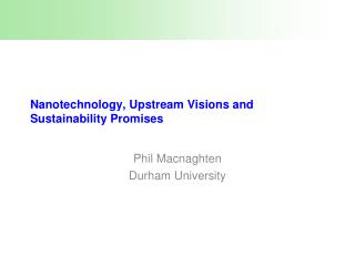 Nanotechnology, Upstream Visions and Sustainability Promises
