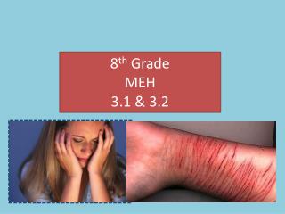 8 th Grade MEH 3.1 &amp; 3.2