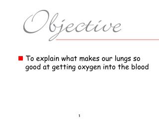 To explain what makes our lungs so good at getting oxygen into the blood