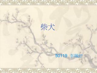50119 李珮妤