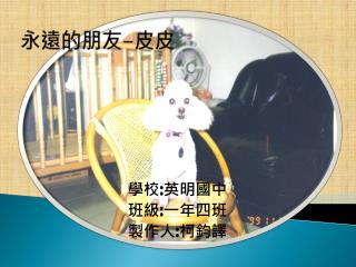 永遠的朋友 - 皮皮