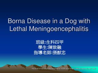 Borna Disease in a Dog with Lethal Meningoencephalitis