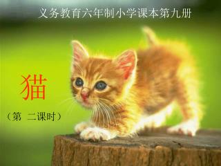 义务教育六年制小学课本第九册