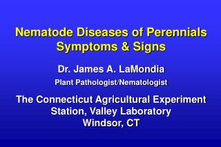 Nematode Diseases of Perennials Symptoms &amp; Signs Dr. James A. LaMondia