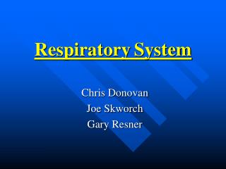 Respiratory System