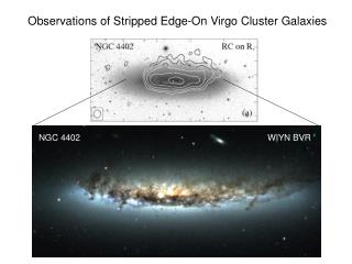 Observations of Stripped Edge-On Virgo Cluster Galaxies