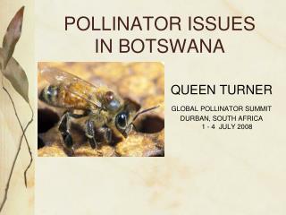 POLLINATOR ISSUES IN BOTSWANA