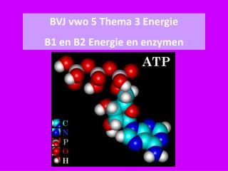 BVJ vwo 5 Thema 3 Energie B1 en B2 Energie en enzymen