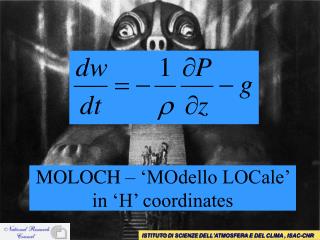 MOLOCH – ‘MOdello LOCale’ in ‘H’ coordinates