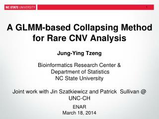 A GLMM-based Collapsing Method for Rare CNV Analysis