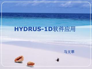 HYDRUS-1D 软件应用
