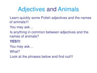 Adjectives and Animals