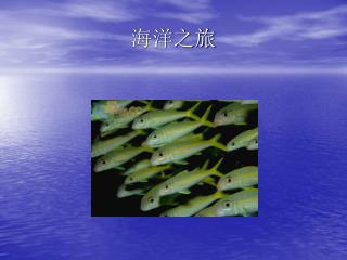 海洋之旅