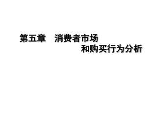 第五章　消费者市场 和购买行为分析