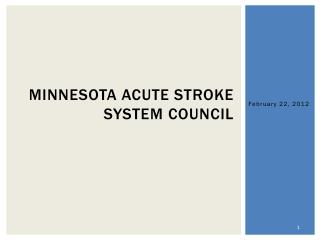 Minnesota Acute Stroke System Council