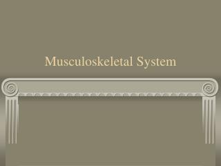 Musculoskeletal System