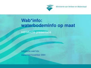 Wab*info: waterbodeminfo op maat