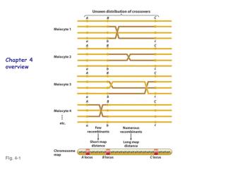 Fig. 4-1