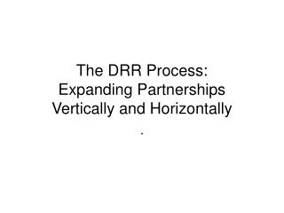 The DRR Process: Expanding Partnerships Vertically and Horizontally