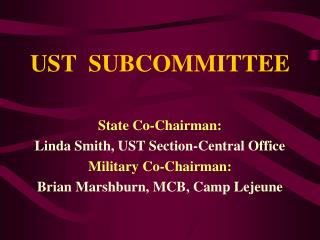 UST SUBCOMMITTEE