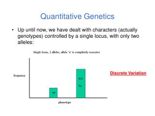 PPT - Multiple Alleles And Polygenic Traits PowerPoint Presentation ...