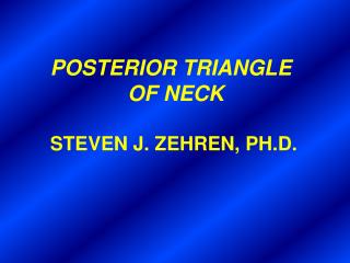 POSTERIOR TRIANGLE OF NECK STEVEN J. ZEHREN, PH.D.