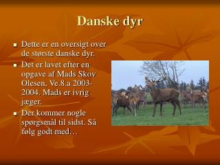 Danske dyr