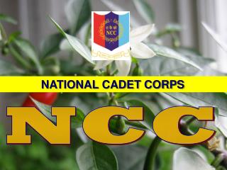 ERNAKULAM NCC GROUP