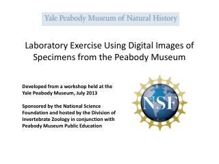 Laboratory Exercise Using Digital Images of Specimens from the Peabody Museum