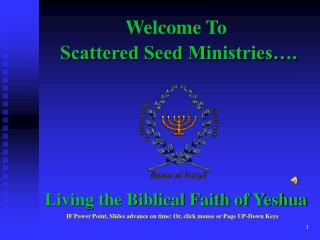 Scattered Seed Ministries….