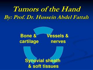 Tumors of the Hand By: Prof. Dr. Hussein Abdel Fattah