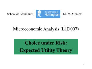 Microeconomic Analysis (L1D007)
