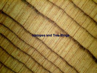 Isotopes and Tree Rings