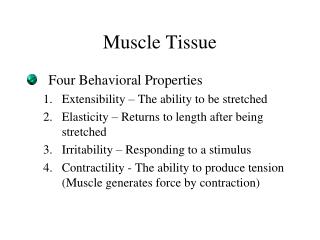 Muscle Tissue