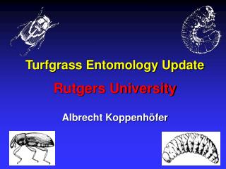 Turfgrass Entomology Update Rutgers University Albrecht Koppenhöfer