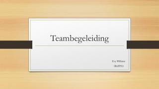 T eambegeleiding