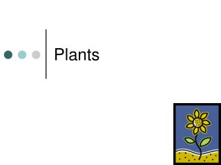 Plants