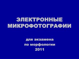 ЭЛЕКТРОННЫЕ МИКРОФОТОГРАФИИ