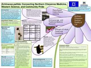 Echinacea pallida : Connecting Northern Cheyenne Medicine, Western Science, and Community Pride
