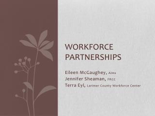 Workforce Partnerships